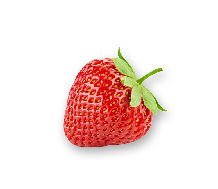 Erdbeere