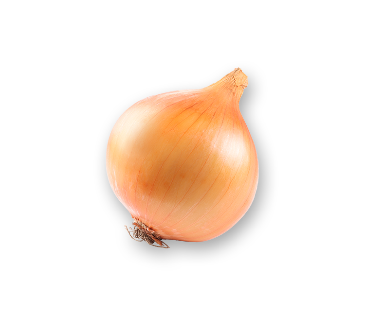 Onion
