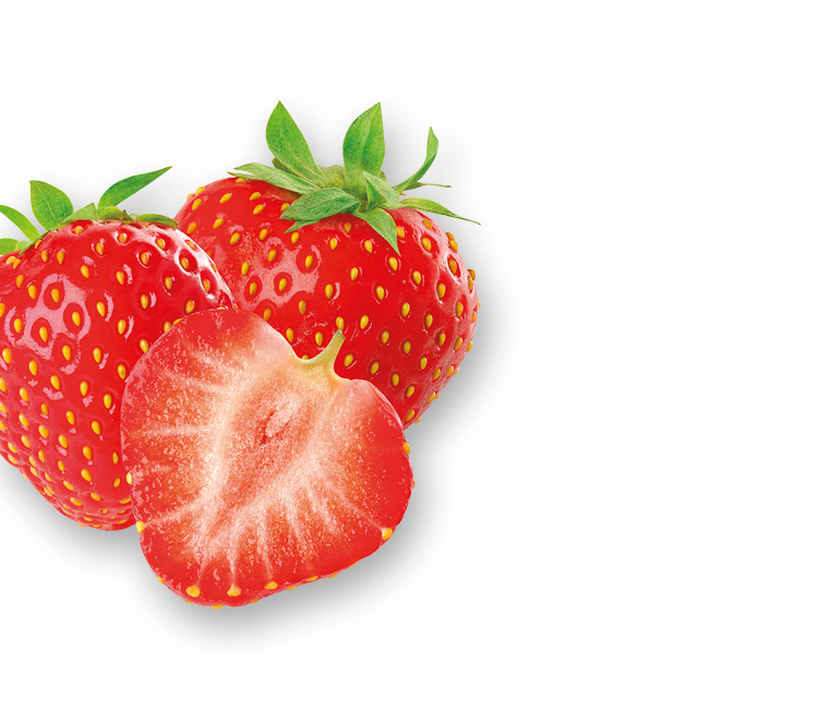 Erdbeeren
