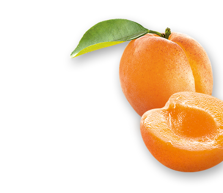 Apricots right