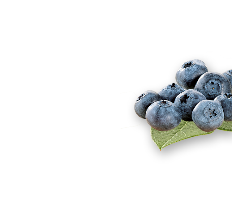 Blueberries right