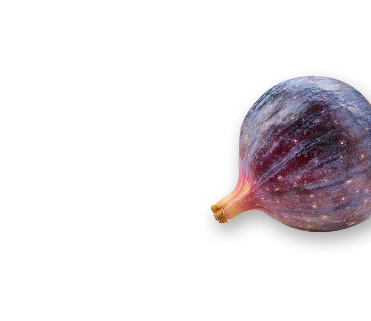 Fig right